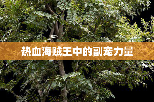热血海贼王中的副宠力量图片