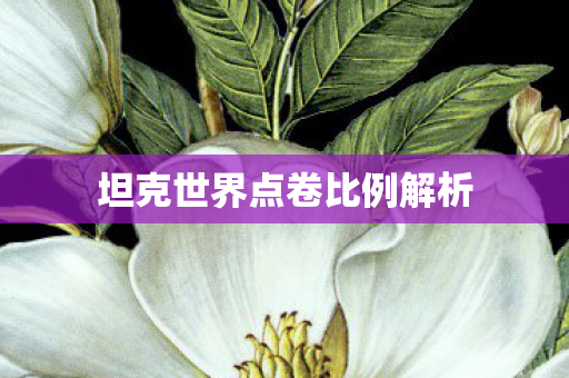 坦克世界点卷比例解析图片