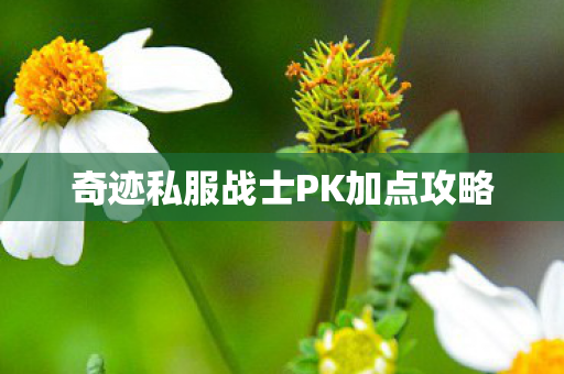 奇迹私服战士PK加点攻略图片
