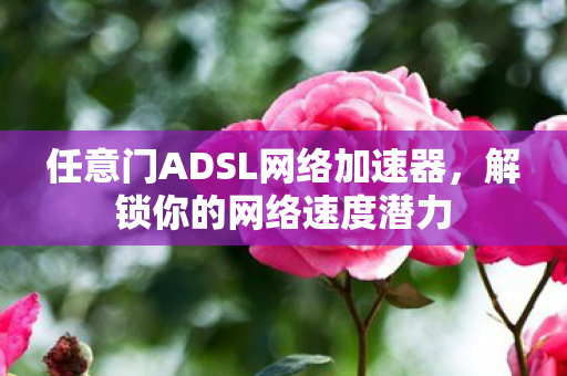 任意门ADSL网络加速器图片