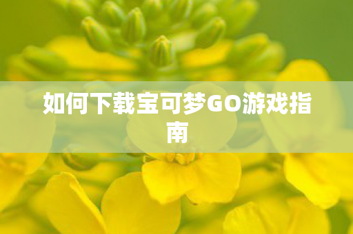 如何下载宝可梦GO游戏指南图片