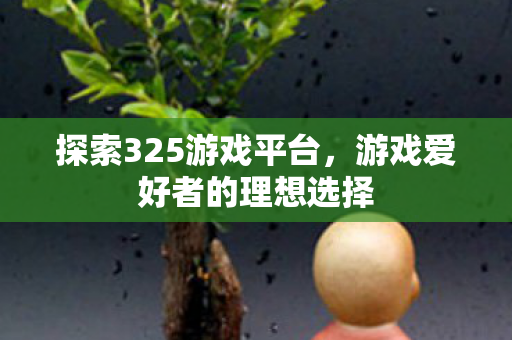 游戏爱好者的理想选择图片