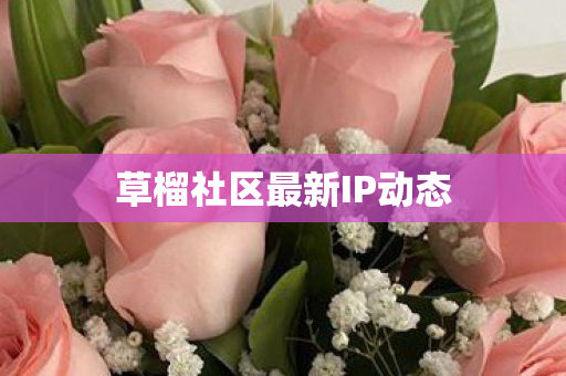 草榴社区最新IP动态图片