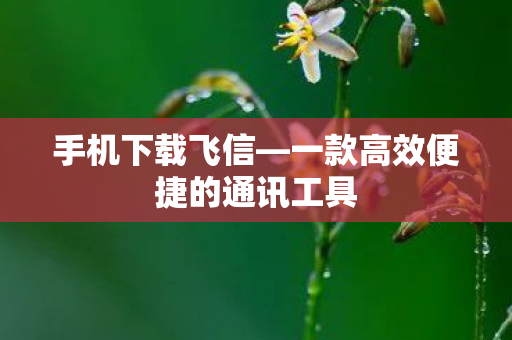 一款高效便捷的通讯工具图片