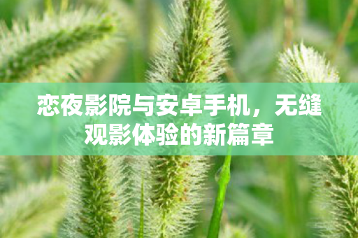 无缝观影体验的新篇章图片
