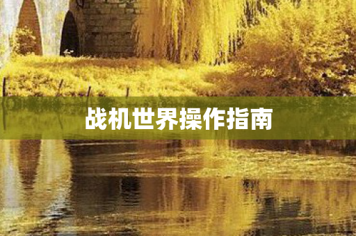 战机世界操作指南图片