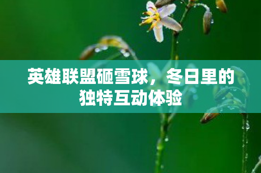 冬日里的独特互动体验图片
