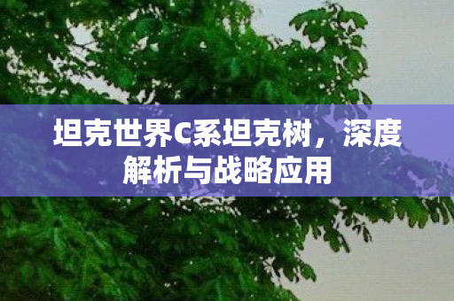 坦克世界C系坦克树图片