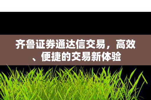 齐鲁证券通达信交易图片