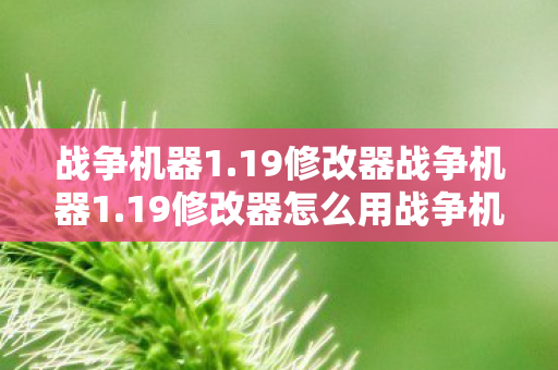 19修改器怎么用战争机器1图片