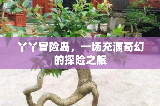 一场充满奇幻的探险之旅图片
