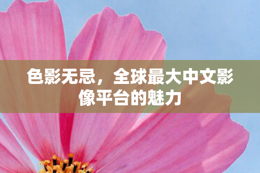 全球最大中文影像平台的魅力图片