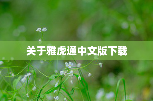 关于雅虎通中文版下载图片