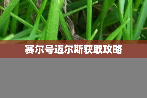 赛尔号迈尔斯获取攻略图片