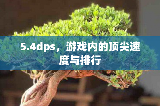游戏内的顶尖速度与排行图片