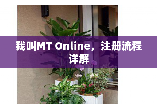我叫MT Online图片
