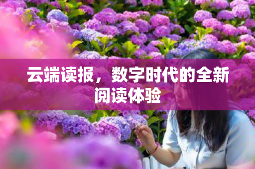 数字时代的全新阅读体验图片