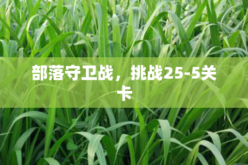 部落守卫战图片
