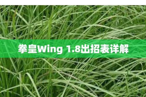 拳皇Wing 1图片