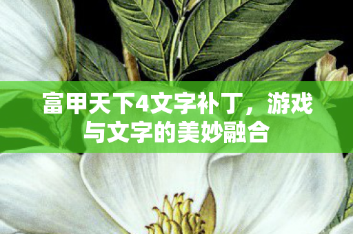 游戏与文字的美妙融合图片