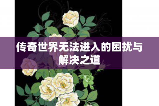 传奇世界无法进入的困扰与解决之道图片