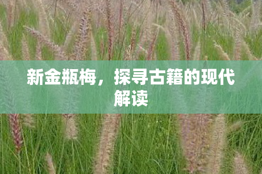 探寻古籍的现代解读图片