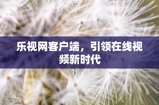 引领在线视频新时代图片