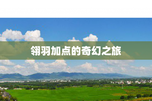 翎羽加点的奇幻之旅图片