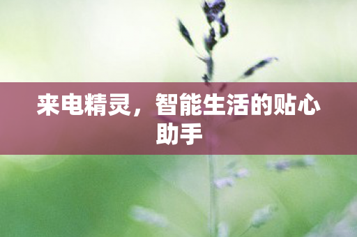 智能生活的贴心助手图片