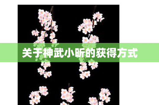 关于神武小昕的获得方式图片