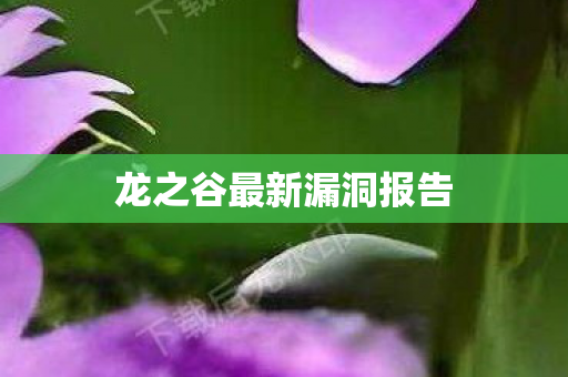 龙之谷最新漏洞报告图片