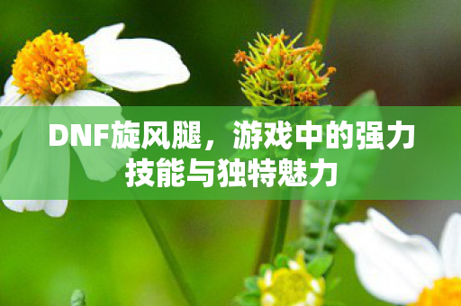 游戏中的强力技能与独特魅力图片