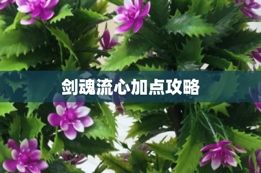 剑魂流心加点攻略图片