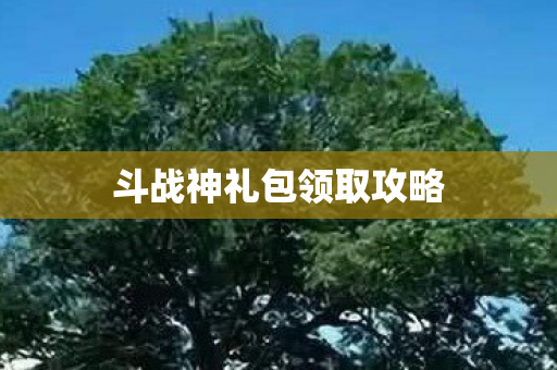 斗战神礼包领取攻略图片