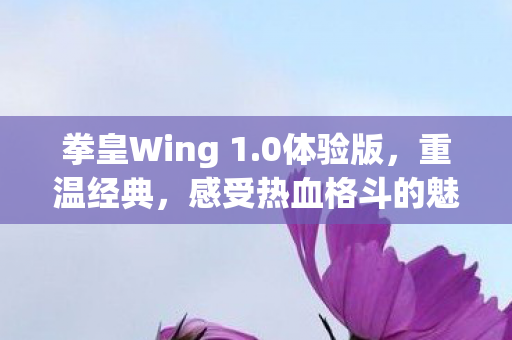感受热血格斗的魅力图片