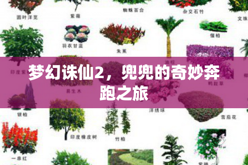 兜兜的奇妙奔跑之旅图片