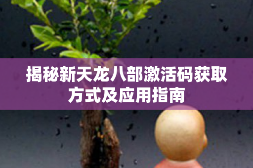 揭秘新天龙八部激活码获取方式及应用指南图片