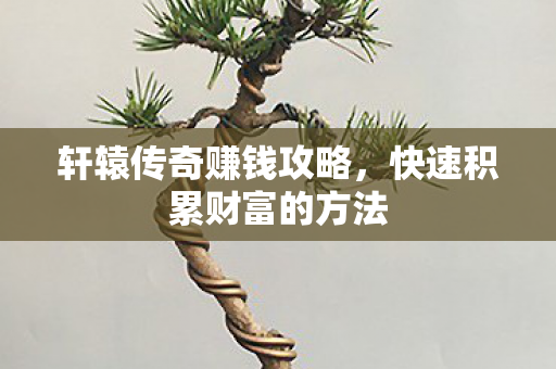 快速积累财富的方法图片