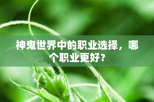 神鬼世界中的职业选择图片