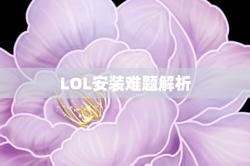 LOL安装难题解析图片