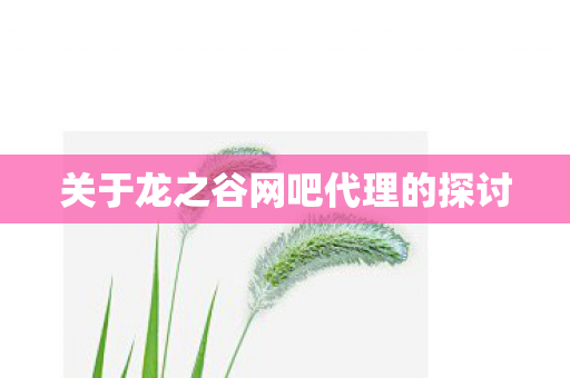 关于龙之谷网吧代理的探讨图片