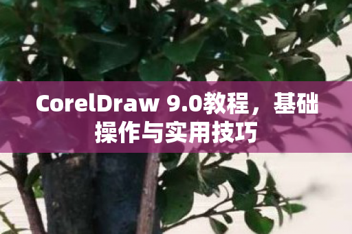 CorelDraw 9图片