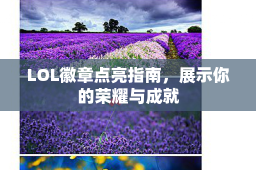 LOL徽章点亮指南图片