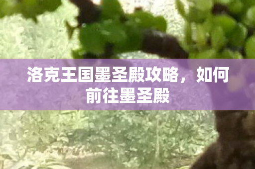 洛克王国墨圣殿攻略图片