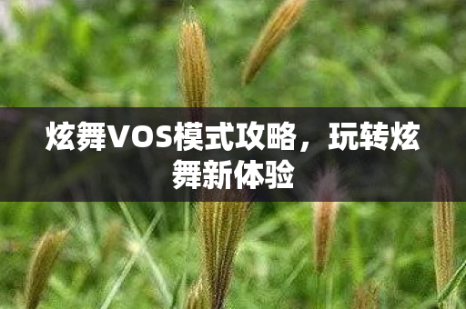 炫舞VOS模式攻略图片