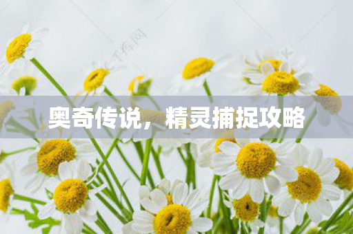 精灵捕捉攻略图片