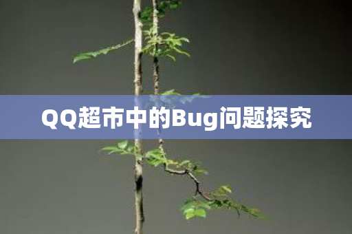QQ超市中的Bug问题探究图片