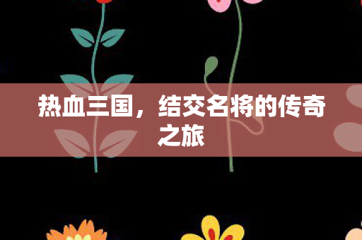 结交名将的传奇之旅图片