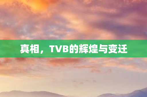 TVB的辉煌与变迁图片