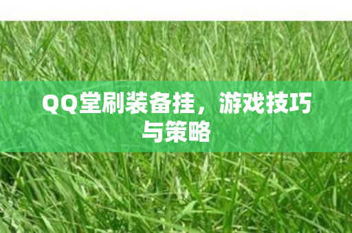 QQ堂刷装备挂图片